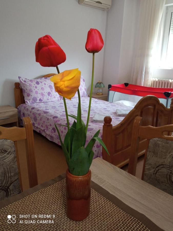 Apartman Andelina Vrnjačka Banja Εξωτερικό φωτογραφία
