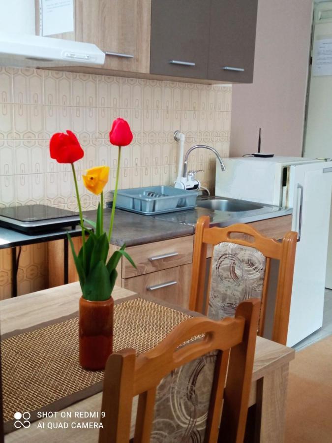 Apartman Andelina Vrnjačka Banja Εξωτερικό φωτογραφία