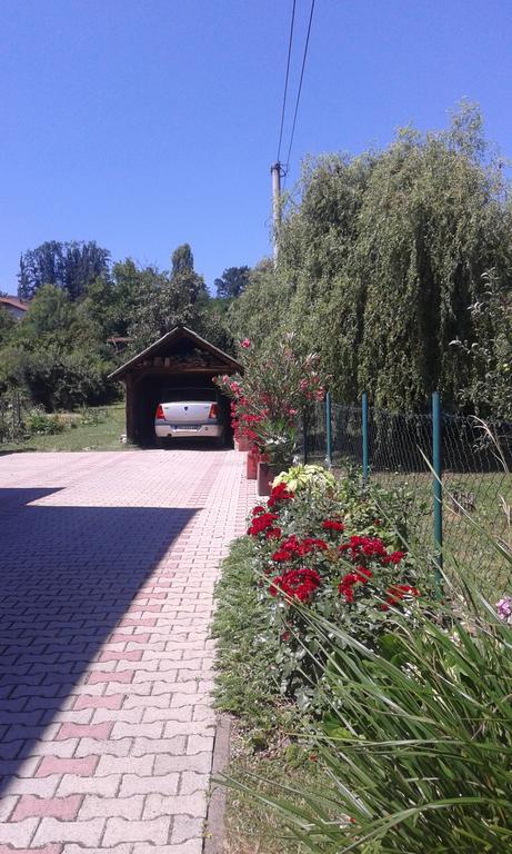 Apartman Andelina Vrnjačka Banja Εξωτερικό φωτογραφία