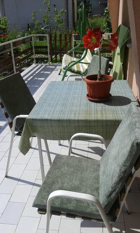 Apartman Andelina Vrnjačka Banja Εξωτερικό φωτογραφία